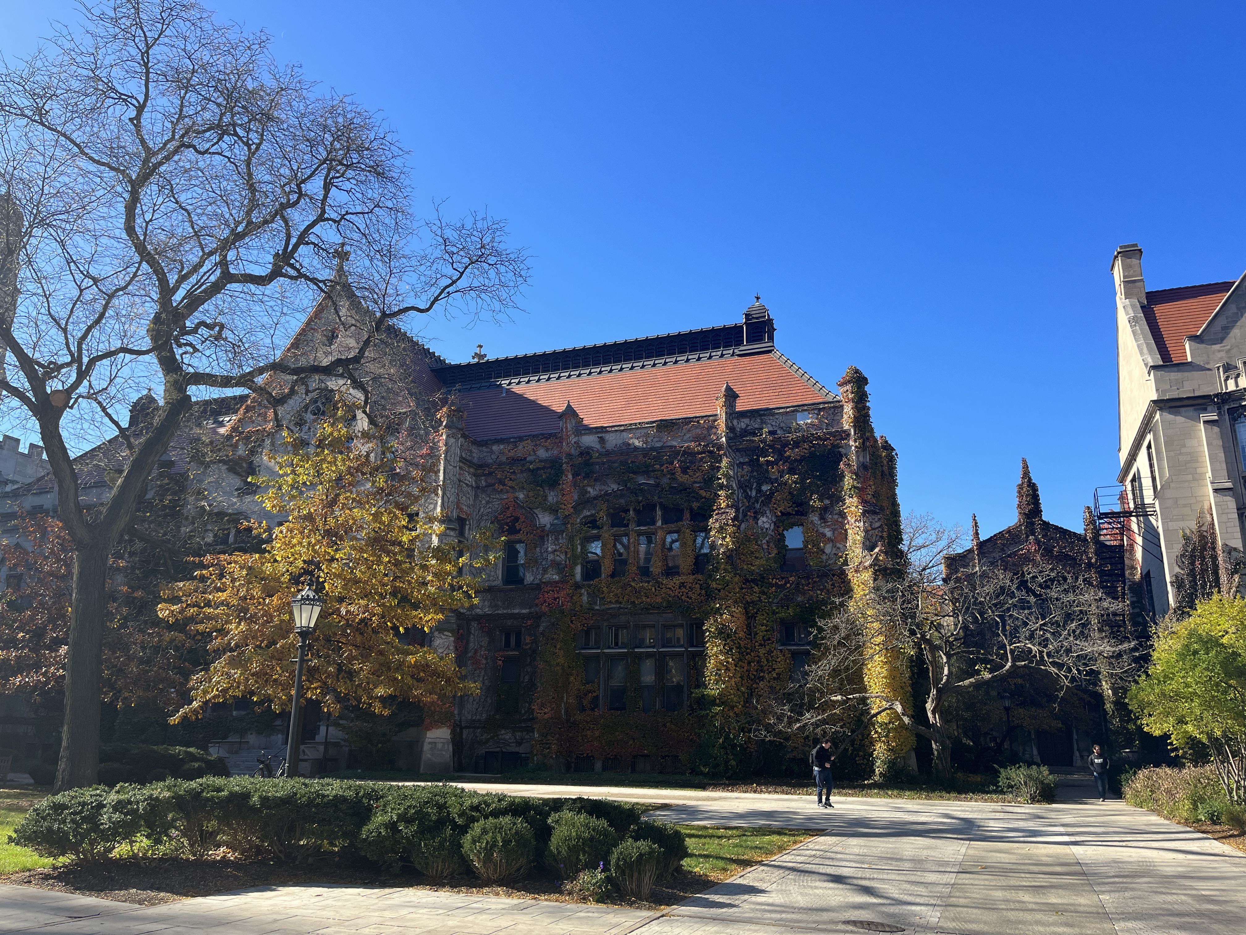 Economics for Everyone