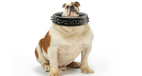 Britain: How is it really doing?