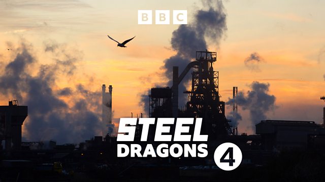 Steel Dragons